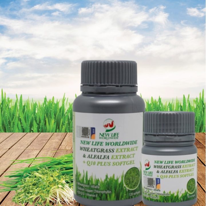 New Life Worldwide 浓缩小麦草与苜蓿芽 + Q10 Plus 软胶囊